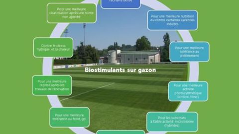 Compo Expert : un webinaire le 8 avril sur les biostimulants Compo Expert : un webinaire le 8 avril sur les biostimulants