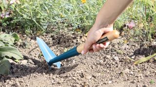 Leborgne : six outils pour désherber