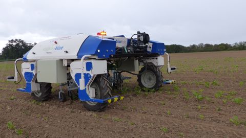 Le robot BlueBob de Deleplanque vient au secours de la betterave sucrière Le robot BlueBob de Deleplanque vient au secours de la betterave sucrière