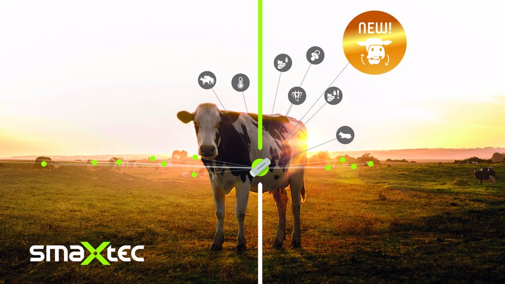 Grâce à un bolus connecté et à la fonctionnalité TruRumi, l’exploitant peut mieux connaître ses animaux et améliorer la précocité des détections. Grâce à un bolus connecté et à la fonctionnalité TruRumi, l’exploitant peut mieux connaître ses animaux et améliorer la précocité des détections.
