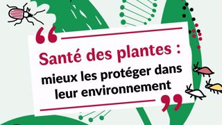 SNHF : une série de conférences sur la santé des plantes 
