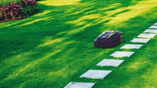 MTD – Cub Cadet : les XR5 annoncent l'arrivée de plus gros robots