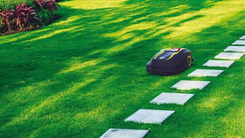 MTD – Cub Cadet : les XR5 annoncent l'arrivée de plus gros robots MTD – Cub Cadet : les XR5 annoncent l'arrivée de plus gros robots