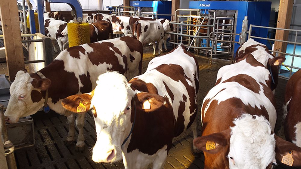 1,1 milliard pour DeLaval 1,1 milliard pour DeLaval