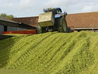 « Aujourd’hui, on estime en France à seulement 5 % les surfaces fourragères traitées en vue de leur conservation, contre 35 % chez nos voisins allemands, autrichiens ou suisses et jusqu’à 85 % aux États-Unis. »