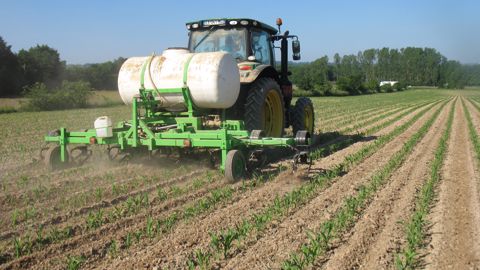 L’enfouissement de l’azote liquide garantit la valeur alimentaire du maïs L’enfouissement de l’azote liquide garantit la valeur alimentaire du maïs