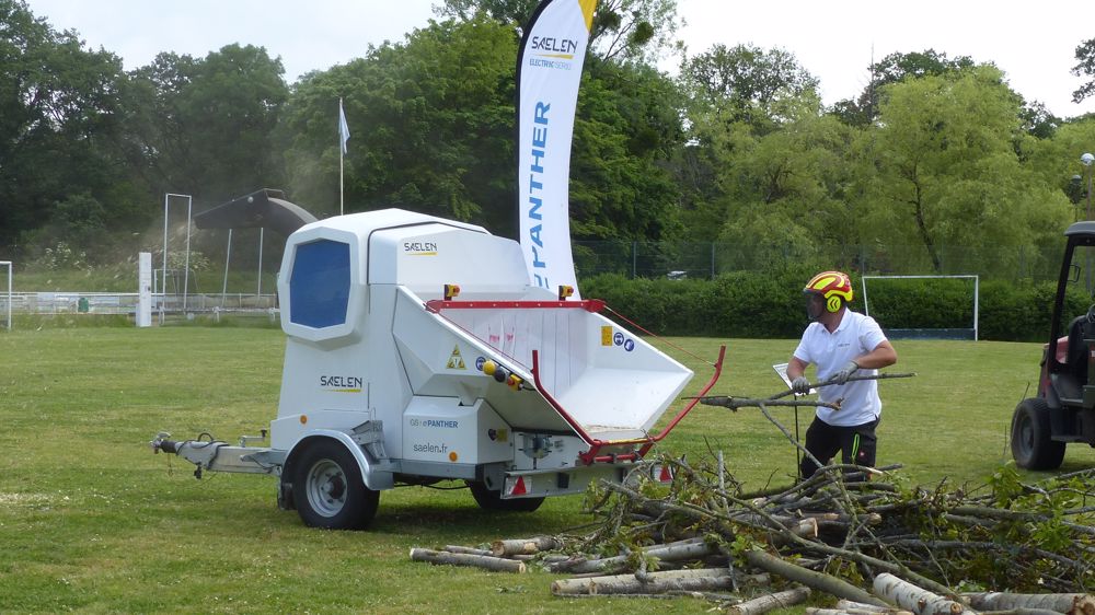 Modèle ePanther, le plus puissant de la gamme électrique (branches de 19 cm).