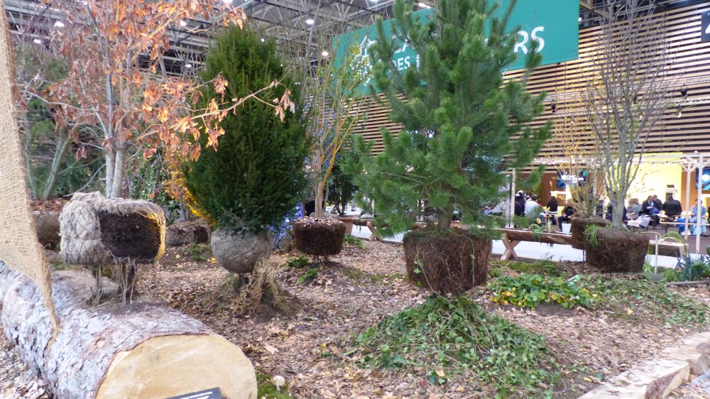 Guillaume Lachana : un thème fertile en sol majeur