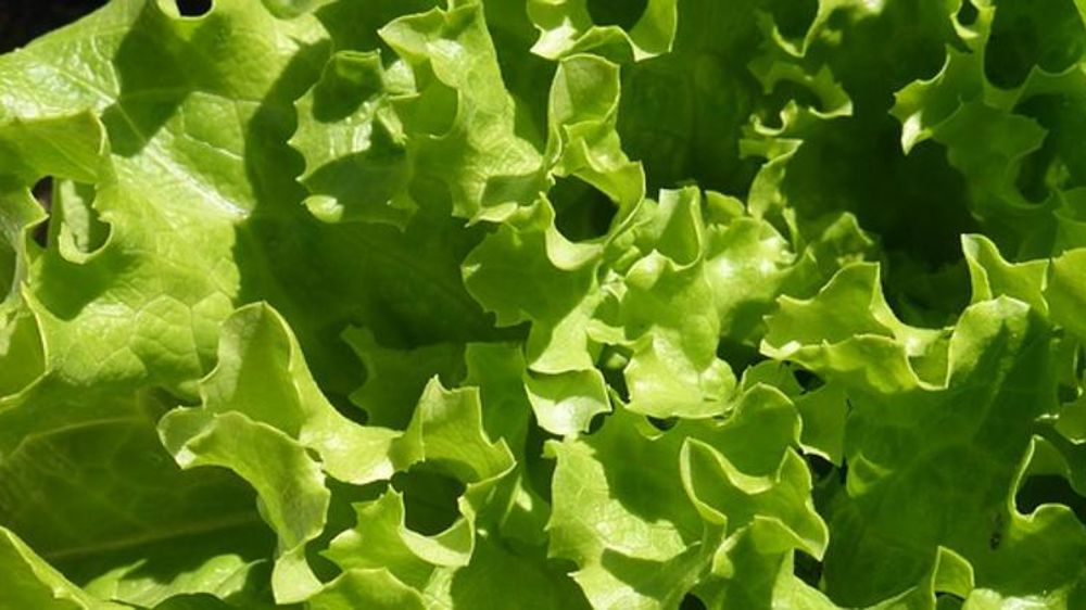 La fin d’année a redynamisé le marché