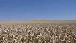 Encore une fois, la France a une longueur d’avance Encore une fois, la France a une longueur d’avance