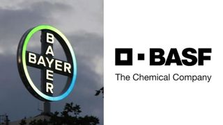 Bayer et BASF condamnés à dédommager un cultivateur américain Bayer et BASF condamnés à dédommager un cultivateur américain