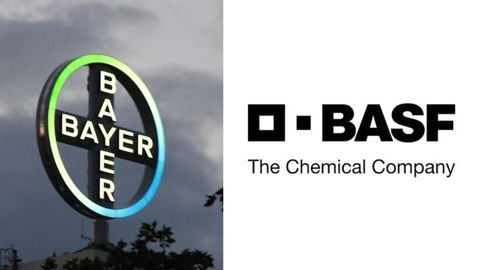 Bayer et BASF condamnés à dédommager un cultivateur américain Bayer et BASF condamnés à dédommager un cultivateur américain