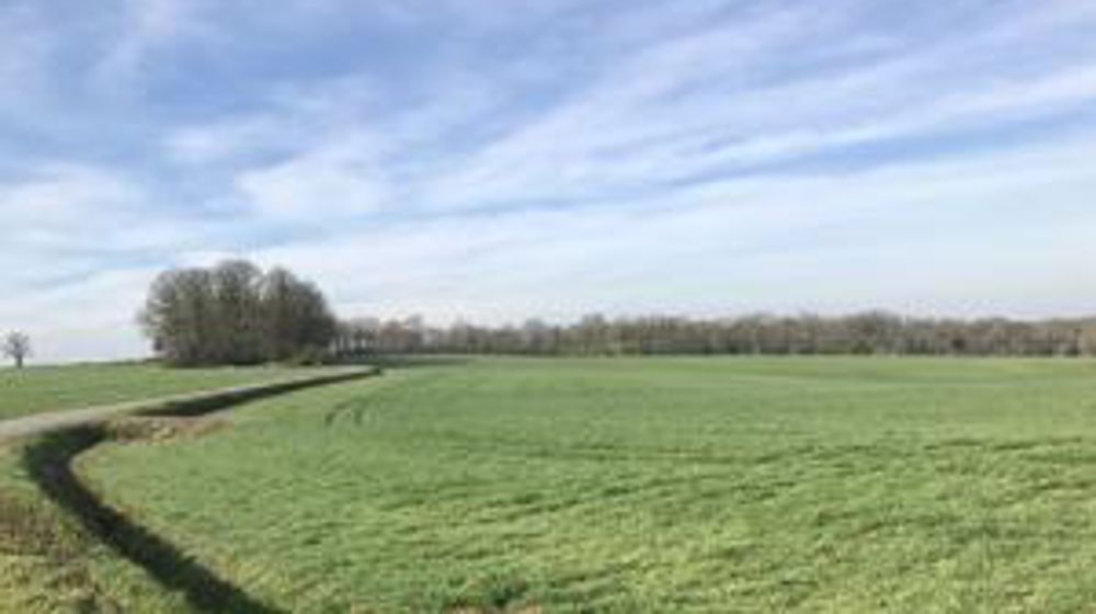 La vente à perte interdite en Espagne