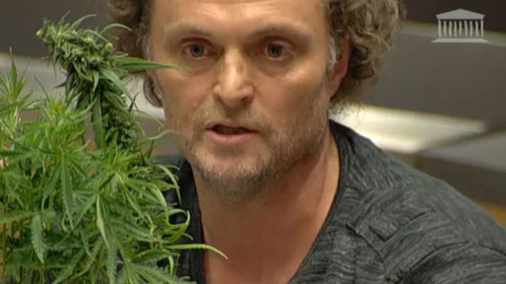 La filière du cannabis bute sur de nombreux obstacles