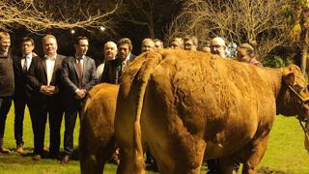 De la campagne à la ville