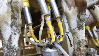 Les marchés laitiers perturbés par le coronavirus Les marchés laitiers perturbés par le coronavirus