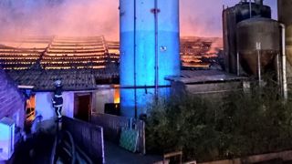 Plus de 2 000 porcs tués dans un incendie Plus de 2 000 porcs tués dans un incendie