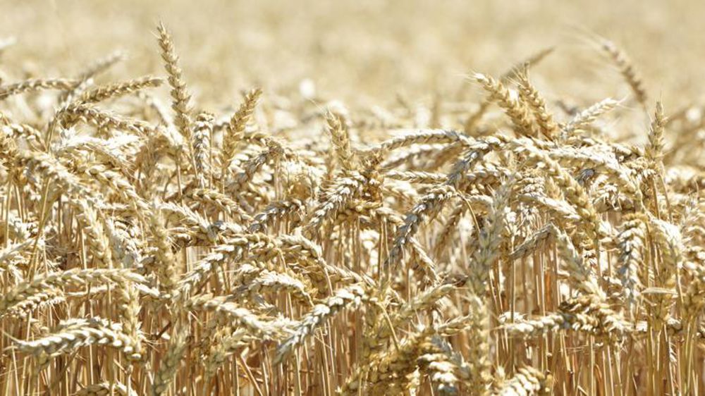 Première grosse commande entre la Chine et les États-Unis