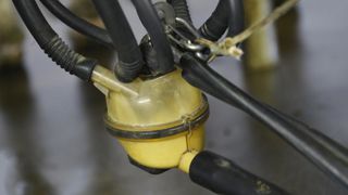 Vers une baisse « prononcée » du prix du lait Vers une baisse « prononcée » du prix du lait