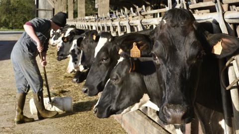 « La Commission européenne doit agir rapidement » « La Commission européenne doit agir rapidement »