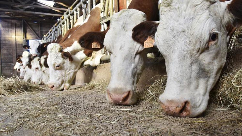 Les volumes ont progressé en 2019