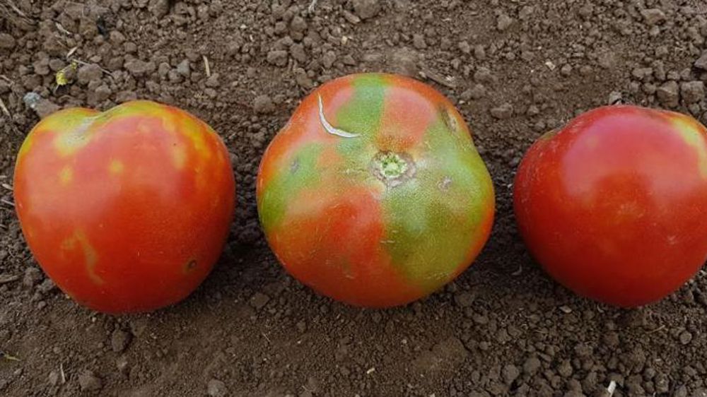 Les modalités de participation de l’État sont connues