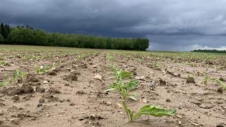 « Nous sommes face à une incohérence écologique » « Nous sommes face à une incohérence écologique »