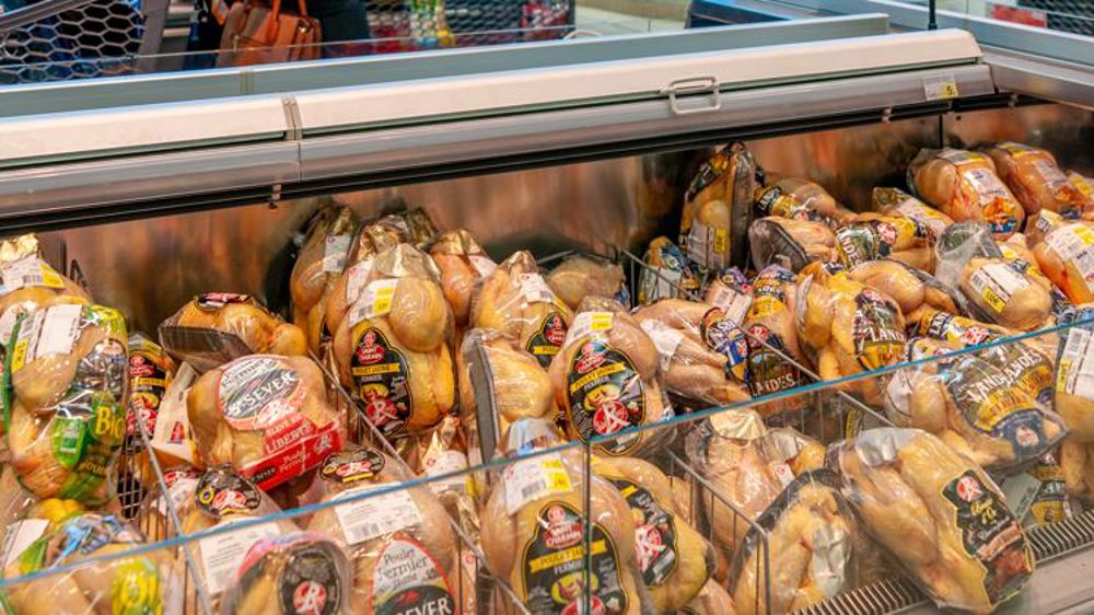 « 100 millions de perte chez les éleveurs et les accouveurs »