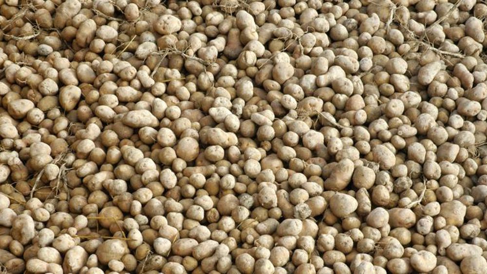 Plus de volumes, moins de prix