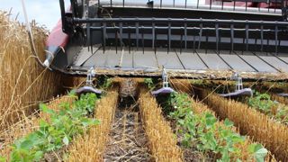 Des patins pour le relay-cropping Des patins pour le relay-cropping