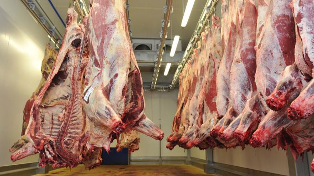 La filière bovine est sur le gril en Italie et en Espagne