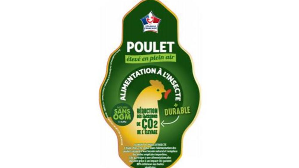 Lancement d’un poulet « nourri aux insectes »