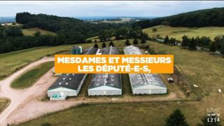 L’abattoir de Rodez dans la tourmente L’abattoir de Rodez dans la tourmente