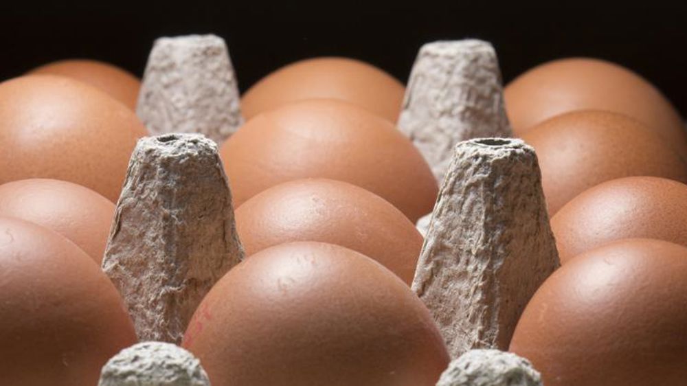 L’œuf coquille revient en restauration collective