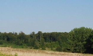 forêt terre-net prix des terres