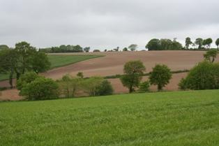 Une parcelle dans le rural profond