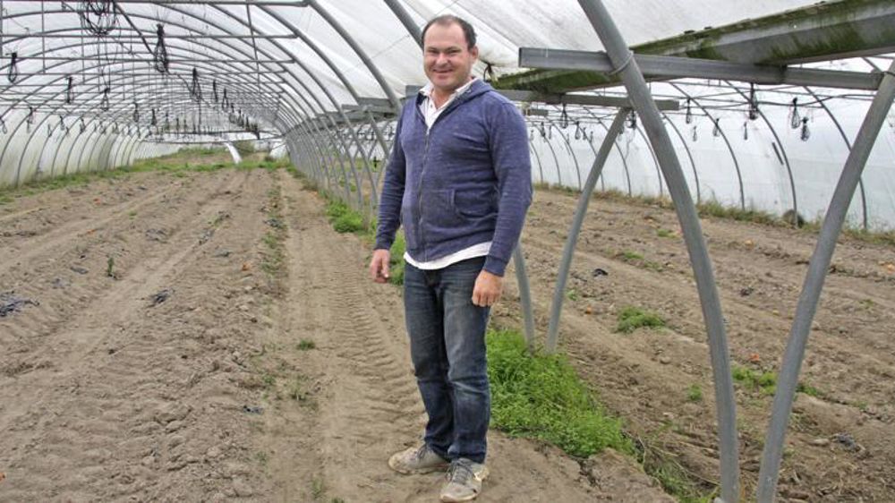 Chez Frédéric Marchesin, les serres sont vides en hiver. Les fraises sont mises en place mi-mars, et les tomates plantées en deux fois : fin mars, puis fin avril. La récolte s’étale de la mi-juin à la mi-octobre. © H. Quenin/Signiel