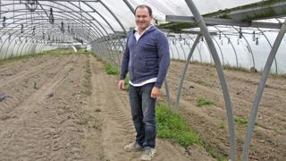 Chez Frédéric Marchesin, les serres sont vides en hiver. Les fraises sont mises en place mi-mars, et les tomates plantées en deux fois : fin mars, puis fin avril. La récolte s’étale de la mi-juin à la mi-octobre. © H. Quenin/Signiel Chez Frédéric Marchesin, les serres sont vides en hiver. Les fraises sont mises en place mi-mars, et les tomates plantées en deux fois : fin mars, puis fin avril. La récolte s’étale de la mi-juin à la mi-octobre. © H. Quenin/Signiel
