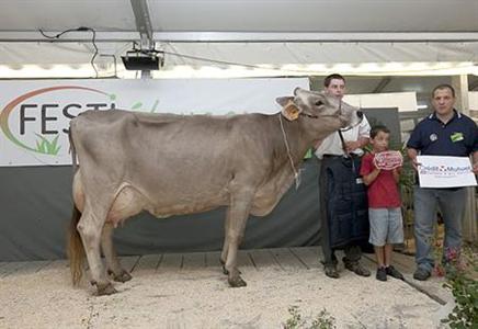 Uzel, Grande championne Brune Ouest 2011