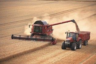 Chantier de récolte de céréales en Case IH