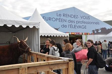 sommet de l'élevage