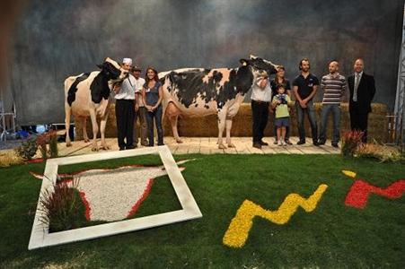 Salinoise Victoria Prim Holstein sommet de l'élevage 2011