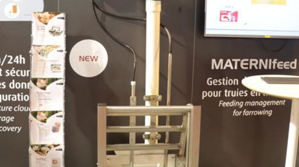 La production porcine toujours plus connectée