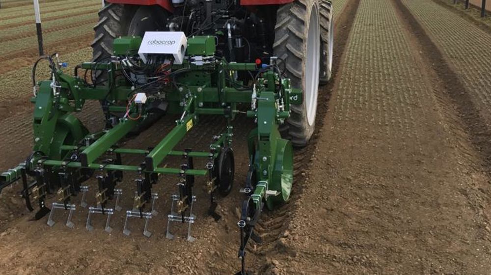 Le Sival dévoile son palmarès