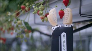 Un robot cueilleur de fraises Un robot cueilleur de fraises