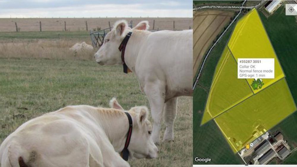 L’adaptation dépend de l’individu