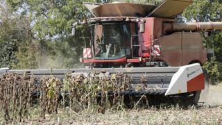 « Nous utilisons une coupe spécifique pour le tournesol » « Nous utilisons une coupe spécifique pour le tournesol »
