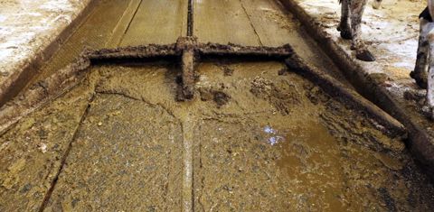 Au passage du racleur, l’effet du drainage actif est visible à l’œil nu. La partie gauche de l’image est drainée par la courroie, mais pas la droite. La « vague » d’effluent provoquée par le raclage est plus sèche et moins volumineuse sur la partie équipée du Delta X. © G. Baron