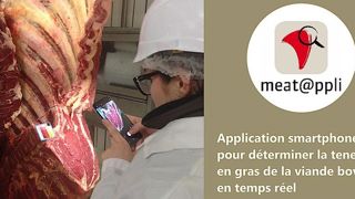 Approcher la « vraie » valeur du gras des carcasses en temps réel Approcher la « vraie » valeur du gras des carcasses en temps réel