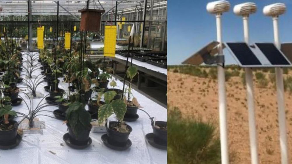 Ils veulent cultiver sur Mars